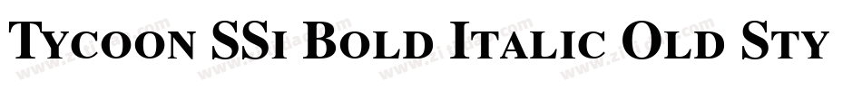 Tycoon SSi Bold Italic Old Style Figures字体转换